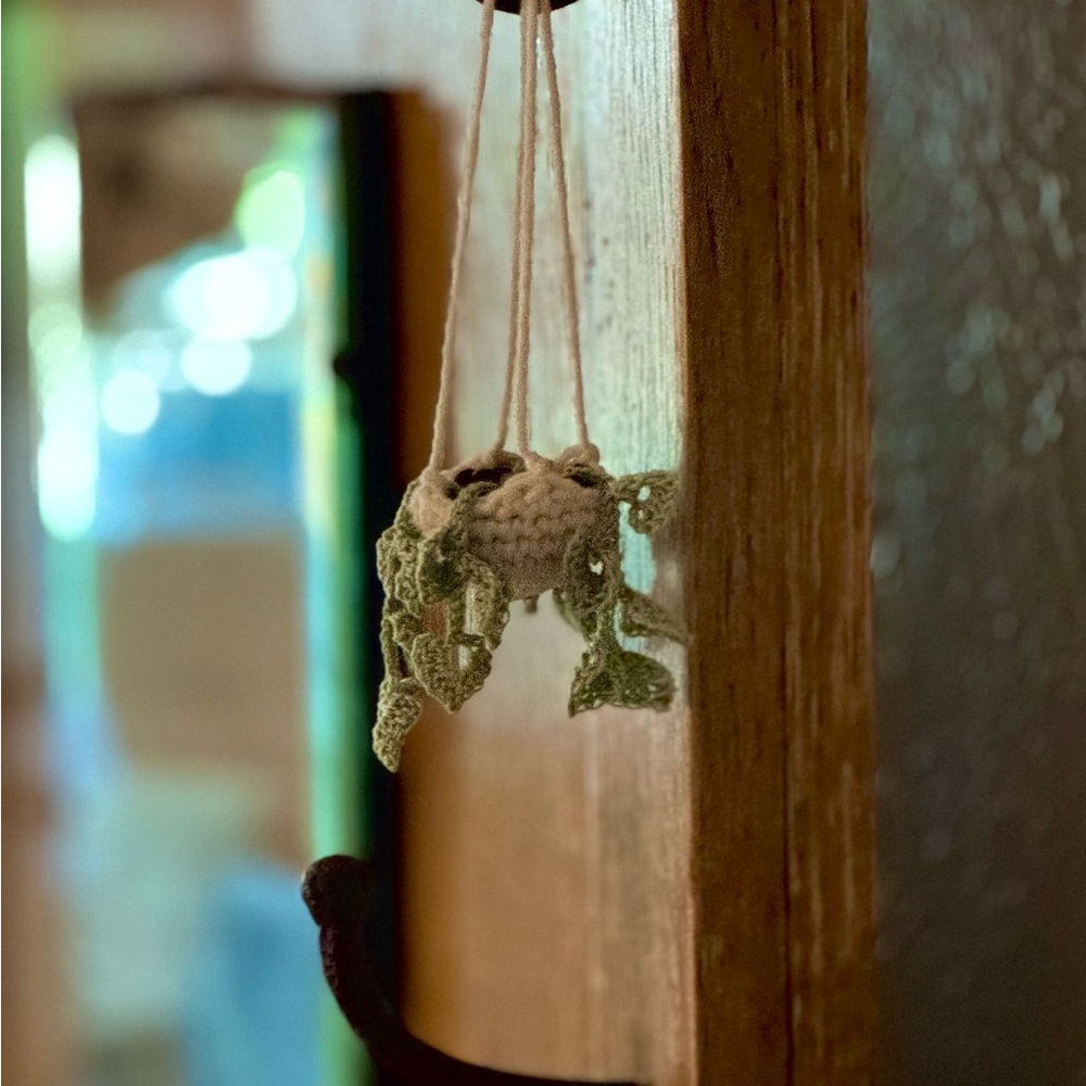 Handmade Hanging Crochet Planter
